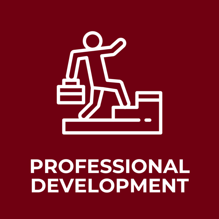 PROFFESIONAL DEVELOPMENT